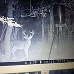 Greg Spears - @greg.spears.161 - Instagram