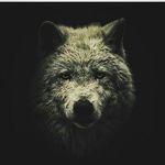 Greg Spears - @greg_spears_ - Instagram
