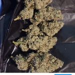 greg spears - @urbanfarma - Instagram