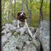 Greg Springers - Facebook