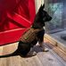 Greg Spurlock - Facebook