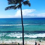 Greg Squires - @greg.squires - Instagram