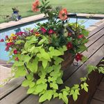 Greg Staley - @gtstaley - Instagram
