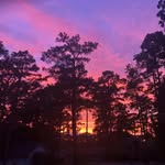 Greg Stinson - @gtstinson - Instagram