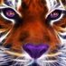 Greg Stover - Facebook