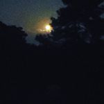Greg Sweeney - @exit2exit - Instagram