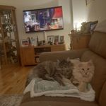 Greg Sylvester - @greg.sylvester.796 - Instagram