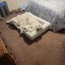 Greg Talbert - Facebook