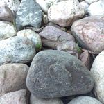 Greg Talbot - @greg.t123 - Instagram