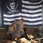 Greg Taylor - Facebook