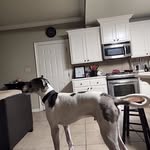 Greg Theriot - @theriotgreg - Instagram