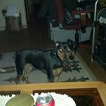 Greg Thiel - @thielgreg - Instagram
