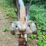 Robert Gregory Thielen - @greg_thielen - Instagram