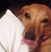 Greg Thrasher - Facebook