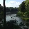 greg - @gregtomlin8 - TikTok