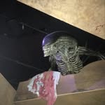 Greg Tomlinson - @gregtomlinson3 - Instagram