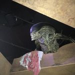 Greg Tomlinson - @gregtomlinson3 - Instagram
