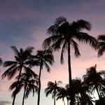 Greg Toth - @gregtoth4 - Instagram