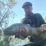 Greg Salomez 🇨🇵🎣 - @greg_and_trout - Instagram