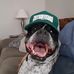 Greg Trout - Facebook