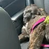 Greg Tudor - @greg.tudor - TikTok