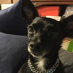 Greg Valenzuela - @gsv.trucking - Instagram