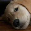 mindygregvanwinkl - @mindygregvanwinkl - TikTok