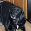 Greg Varney675 - @gvarney60 - TikTok