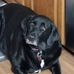 Greg Varney - Facebook