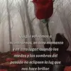 Greg Vazquez7 - @greg.vazquez74 - TikTok
