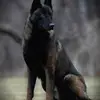 Greg Vazquez - @greg.vazquez30 - TikTok