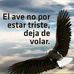 Greg Vázquez - Facebook