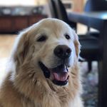 Greg Vernon - @gvernon23 - Instagram