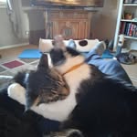 Greg Voyles - @greg_voyles - Instagram