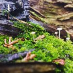 Greg Waggoner - @sburton702 - Instagram