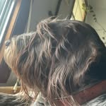 Greg Walker - @greghwalker - Instagram