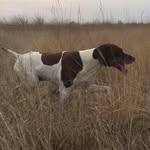 Greg Washburn - @washburn.greg - Instagram