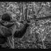 Greg Weidman - Facebook
