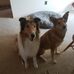 Greg Weiland - Facebook