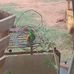Greg Wieland - Facebook