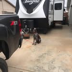 Greg Weller - @fishnnut - Instagram