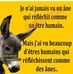 Greg Wendling - Facebook