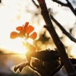 Greg White - @greg.white - Instagram