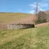 gregwhiteley585 - @gregwhiteley585 - TikTok