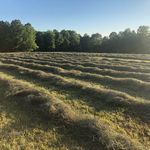 Greg Whitfield - @gregwhitfield82 - Instagram