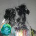 Greg Wilder - Facebook