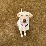 Greg Wilder - @wildersox232 - Instagram