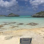 Greg Wilhelm - @gregmegg - Instagram