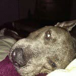 Greg Wilkins - @english_greg - Instagram
