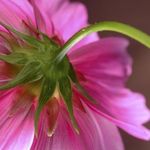 Greg Wilson - @gregwilsonphotography - Instagram